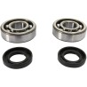Crankshaft Bearing and Seal Kit