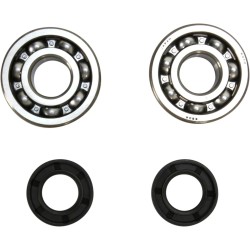 Crankshaft Bearing and Seal Kit