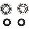 Crankshaft Bearing and Seal Kit