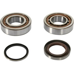Crankshaft Bearing and Seal Kit