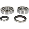 Crankshaft Bearing and Seal Kit