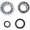 Crankshaft Bearing and Seal Kit