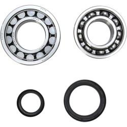 Crankshaft Bearing and Seal Kit