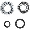 Crankshaft Bearing and Seal Kit