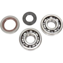 Crankshaft Bearing and Seal Kit