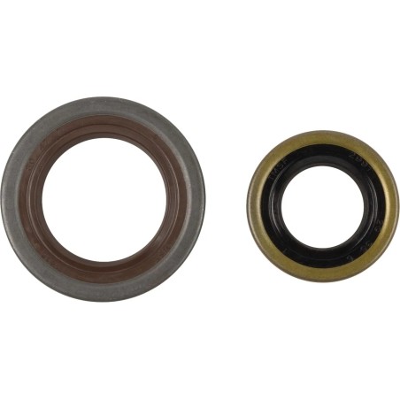 Crankshaft Oil Seal Kit