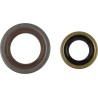 Crankshaft Oil Seal Kit