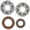 Main Crankshaft Bearing and Seal Kit