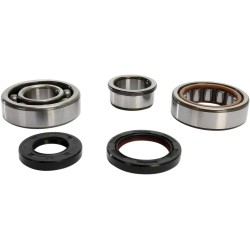 Crankshaft Bearing and Seal Kit