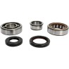 Crankshaft Bearing and Seal Kit