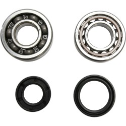 Crankshaft Bearing and Seal Kit