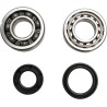 Crankshaft Bearing and Seal Kit