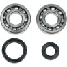 Crank Bearing Seal Kit