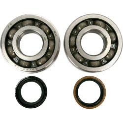 Main Crankshaft Bearing and Seal Kit