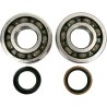 Main Crankshaft Bearing and Seal Kit