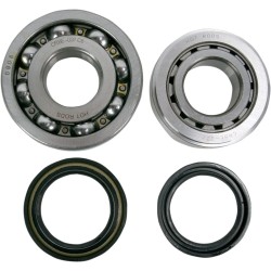 Main Crankshaft Bearing and Seal Kit