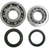 Main Crankshaft Bearing and Seal Kit