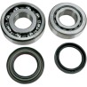Main Crankshaft Bearing and Seal Kit