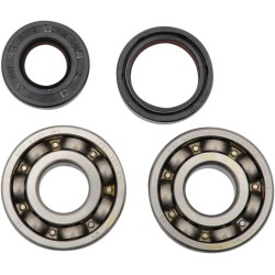 Main Crankshaft Bearing and Seal Kit