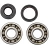 Main Crankshaft Bearing and Seal Kit