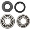 Main Crankshaft Bearing and Seal Kit