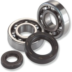 Crank Bearing Seal Kit