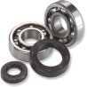 Crank Bearing Seal Kit