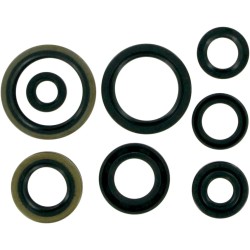 Motor Oil Seals
