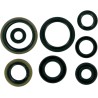 Motor Oil Seals