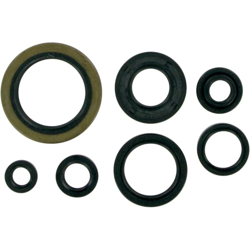 Motor Oil Seals