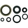 Motor Oil Seals