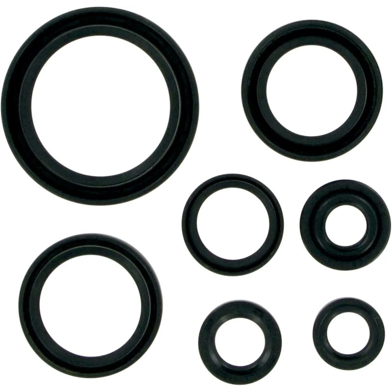 Motor Oil Seals