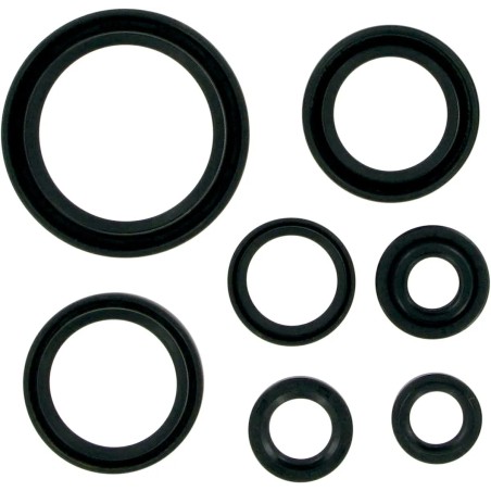 Motor Oil Seals