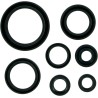 Motor Oil Seals