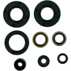 Motor Oil Seals