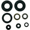 Motor Oil Seals