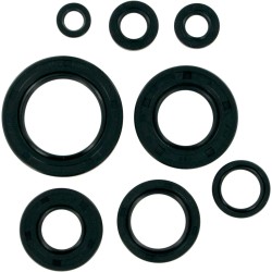 Motor Oil Seals