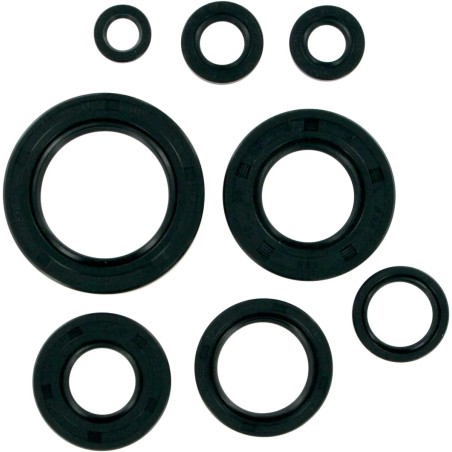 Motor Oil Seals