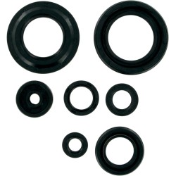 Motor Oil Seals