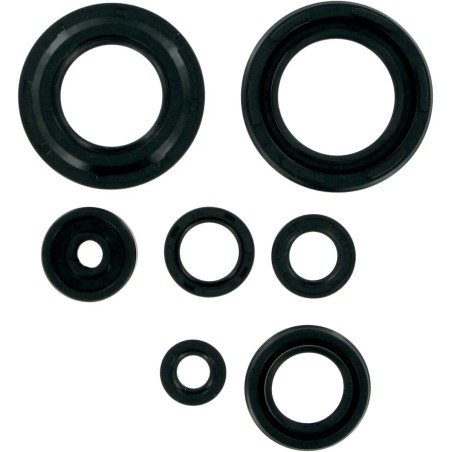 Motor Oil Seals