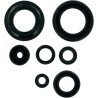 Motor Oil Seals