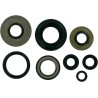 Motor Oil Seals