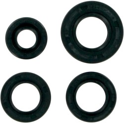 Motor Oil Seals