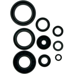 Motor Oil Seals