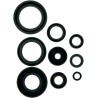 Motor Oil Seals