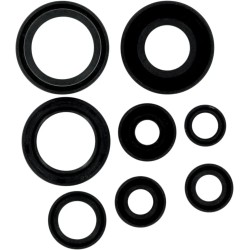 Motor Oil Seals