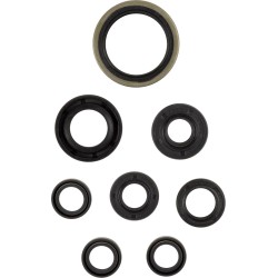 Motor Oil Seals