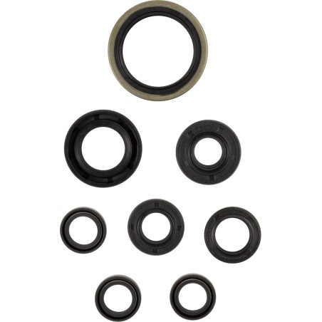 Motor Oil Seals