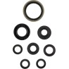 Motor Oil Seals