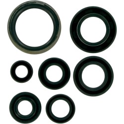 Motor Oil Seals